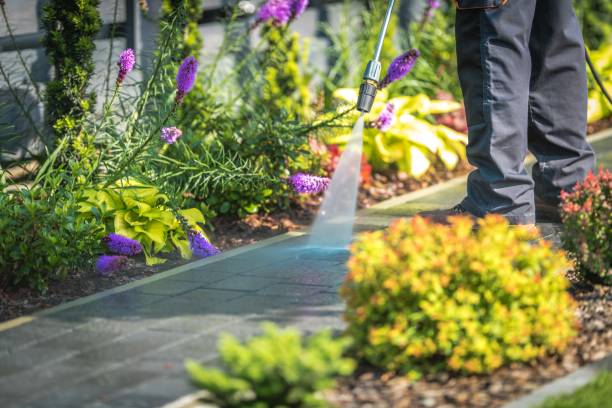 Trusted Franklin, NJ Pressure Washing Services Experts